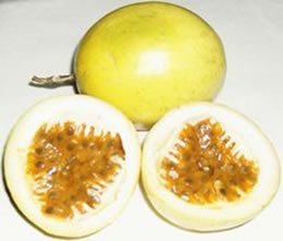 maracuyá maracuya
