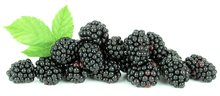 moras
