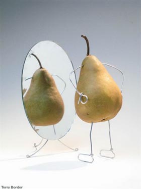 comida con vida por Terry Border