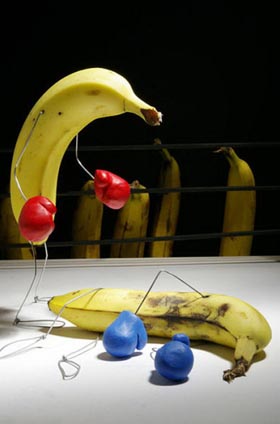 comida con vida por Terry Border
