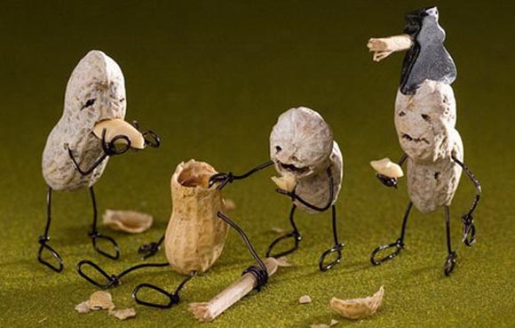 comida con vida por Terry Border