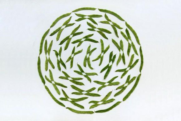 Arte con verduras por Sakir Gokcebag