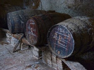 vino-crianza
