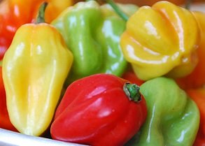 pimientos