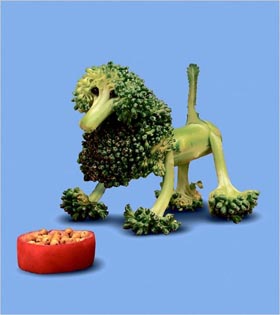 fun food-comida divertida