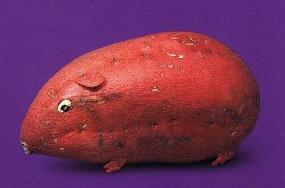 fun food-comida divertida