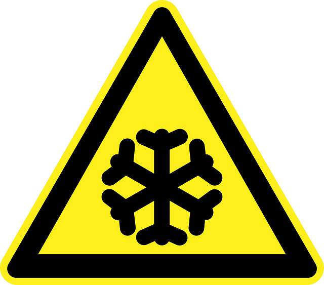 congelados