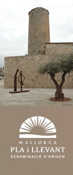 d-o-vino-de-pla-i-llevant