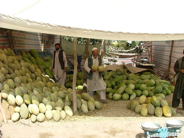 meloneros