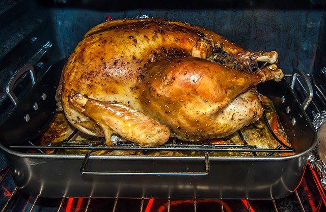 pavo-accion-gracias