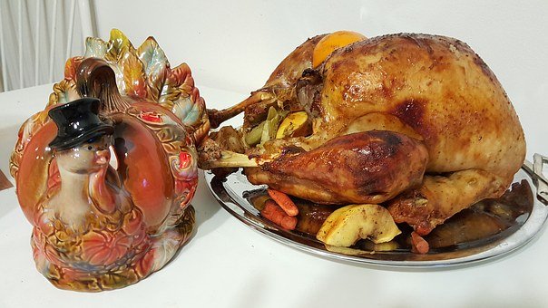 pavo