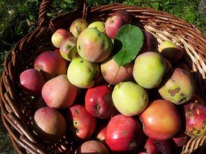 manzanas