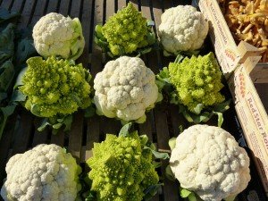 romanesco-coliflor