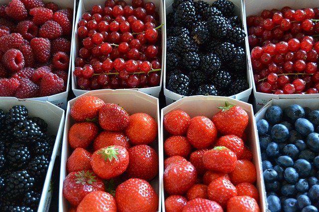 frutos-bosque