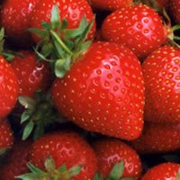 fresas fresas