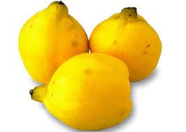 menbrillo menbrillo