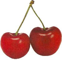 frutoterapia-guia-de-frutas