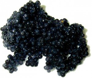 caviar-negro