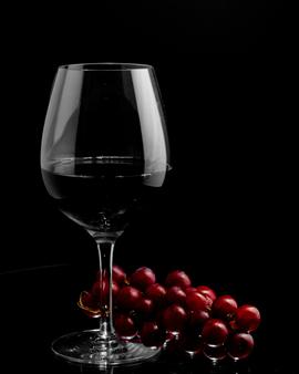 vinos argentinos Vinos de Argentina