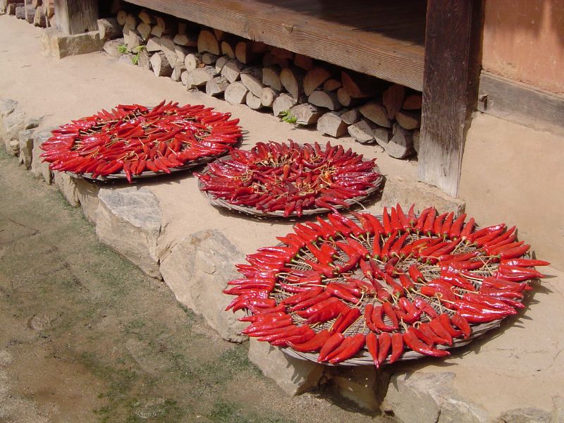 Cocina y Gastronomia de Corea del Norte
