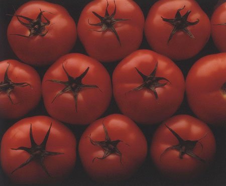 tomates