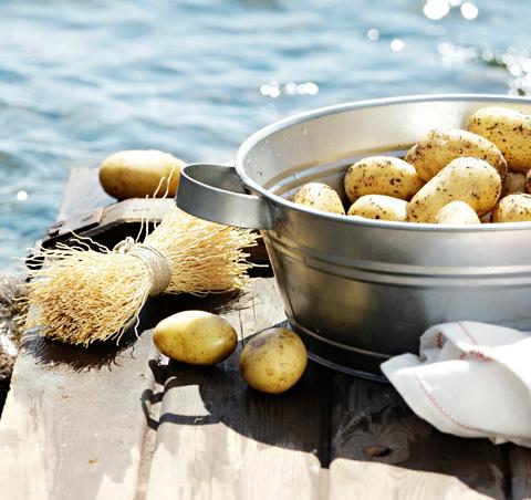 Comida de Finlandia Gastronomia finlandesa