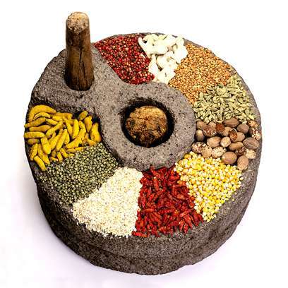 Gastronomia de India