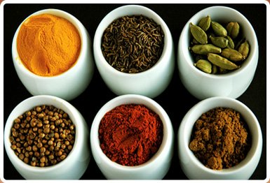 Gastronomia de India