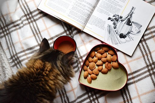 libro-cocina