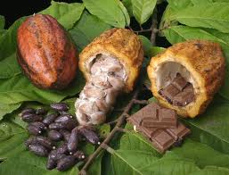 chocolates