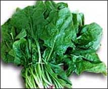 verduras