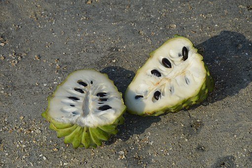 chirimoyo
