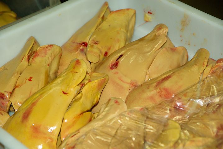 foiegras-oca