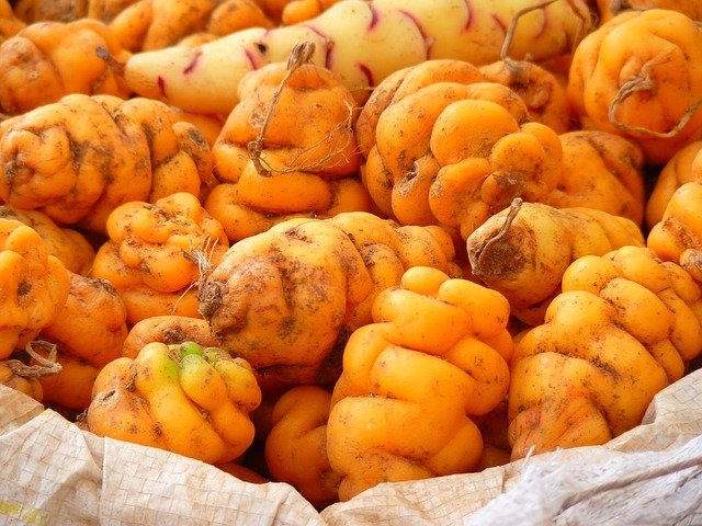 variedades de patatas