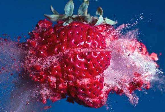 explosivas fotografias de comida por alan sailer
