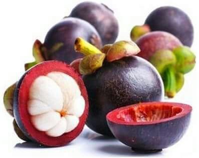 mangostinos