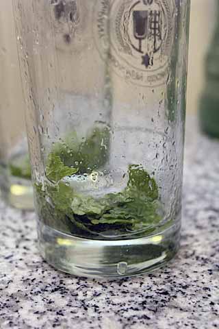 mojito