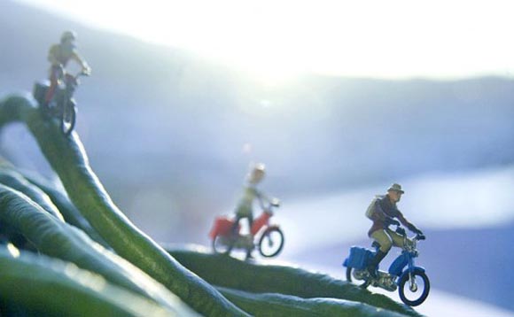 small world de matthew carden