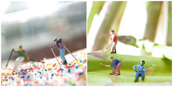 small world de matthew carden