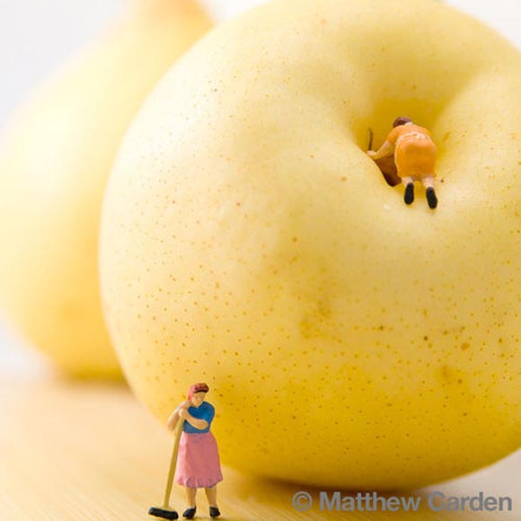 small world de matthew carden