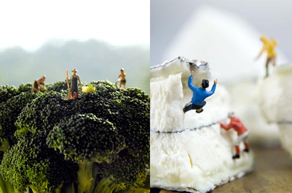 small world de matthew carden