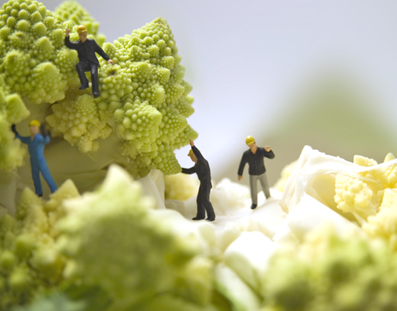 small world de matthew carden