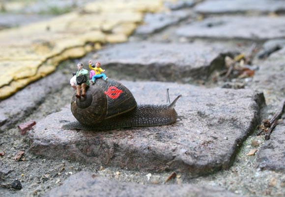 small world de matthew carden