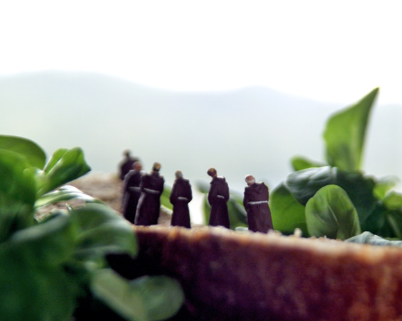 small world de matthew carden