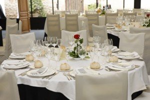 protocolo mesa formal