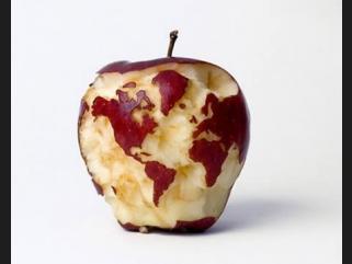 manzana tallada manzana tallada