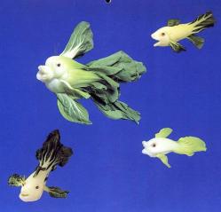 Peces hechos con lechugas Peces hechos con lechugas