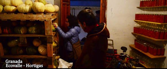 cooperativa hortigas