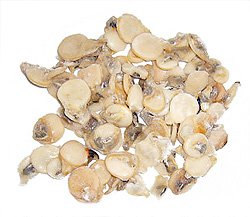 pepitas del océano