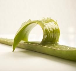 Gel de aloe vera
